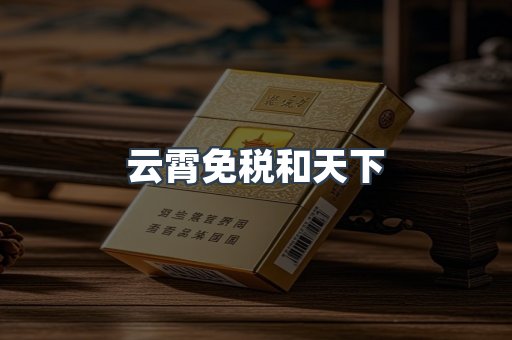 云霄免税和天下